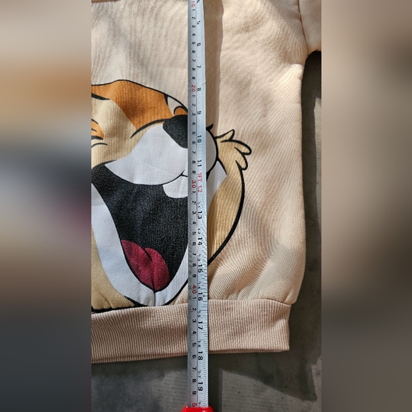 Zara chipmunks kids sweater large - Picture 4 of 4